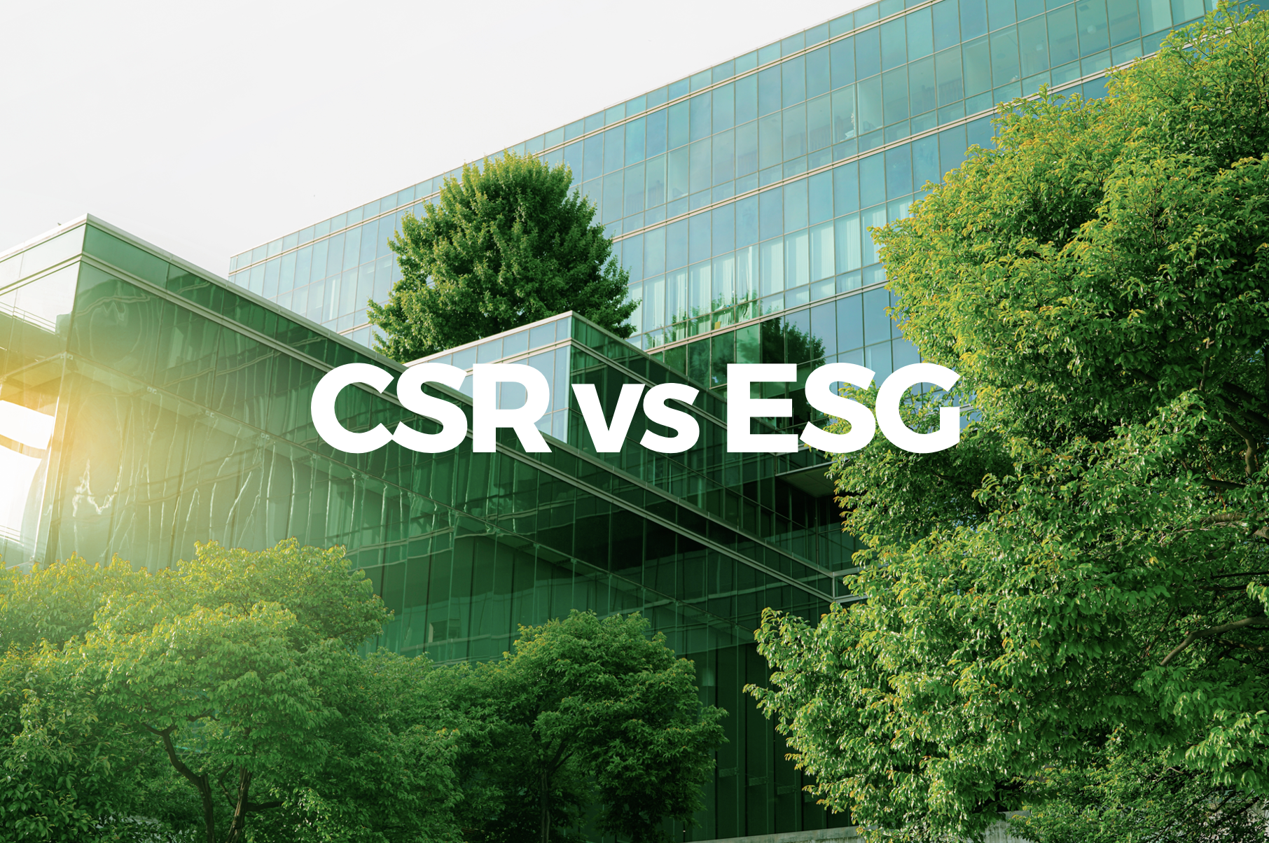 CSR_vs_ESG_Windo