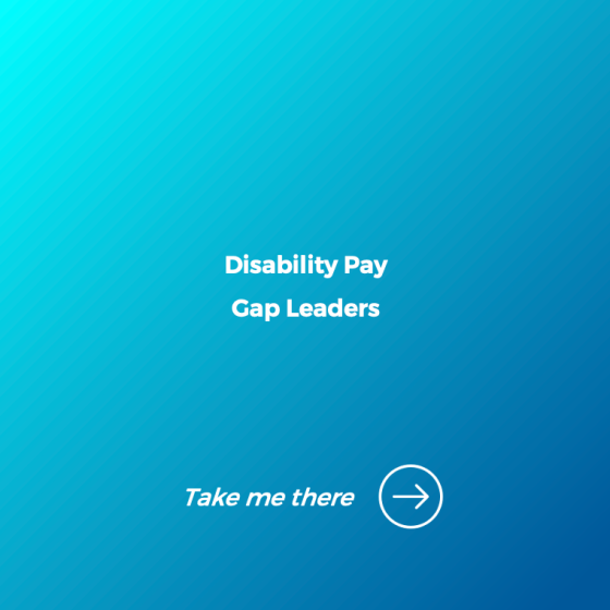 Windo_Disability_Pay_Gap_Leaders_2024