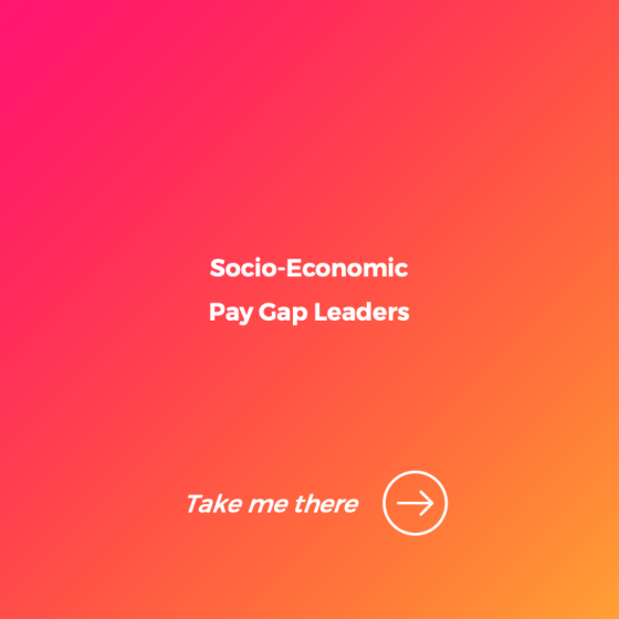 Windo_Socio_Pay_Gap_Leaders_2024