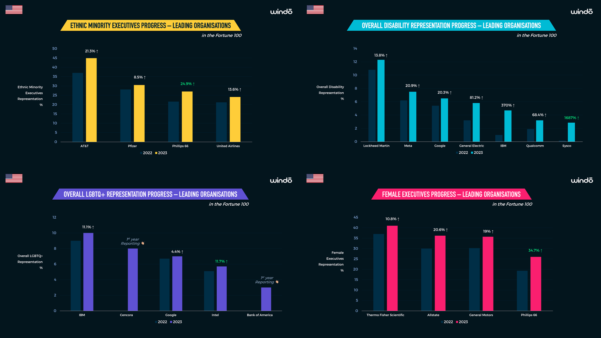 Fortune_100_Windo_Analysis