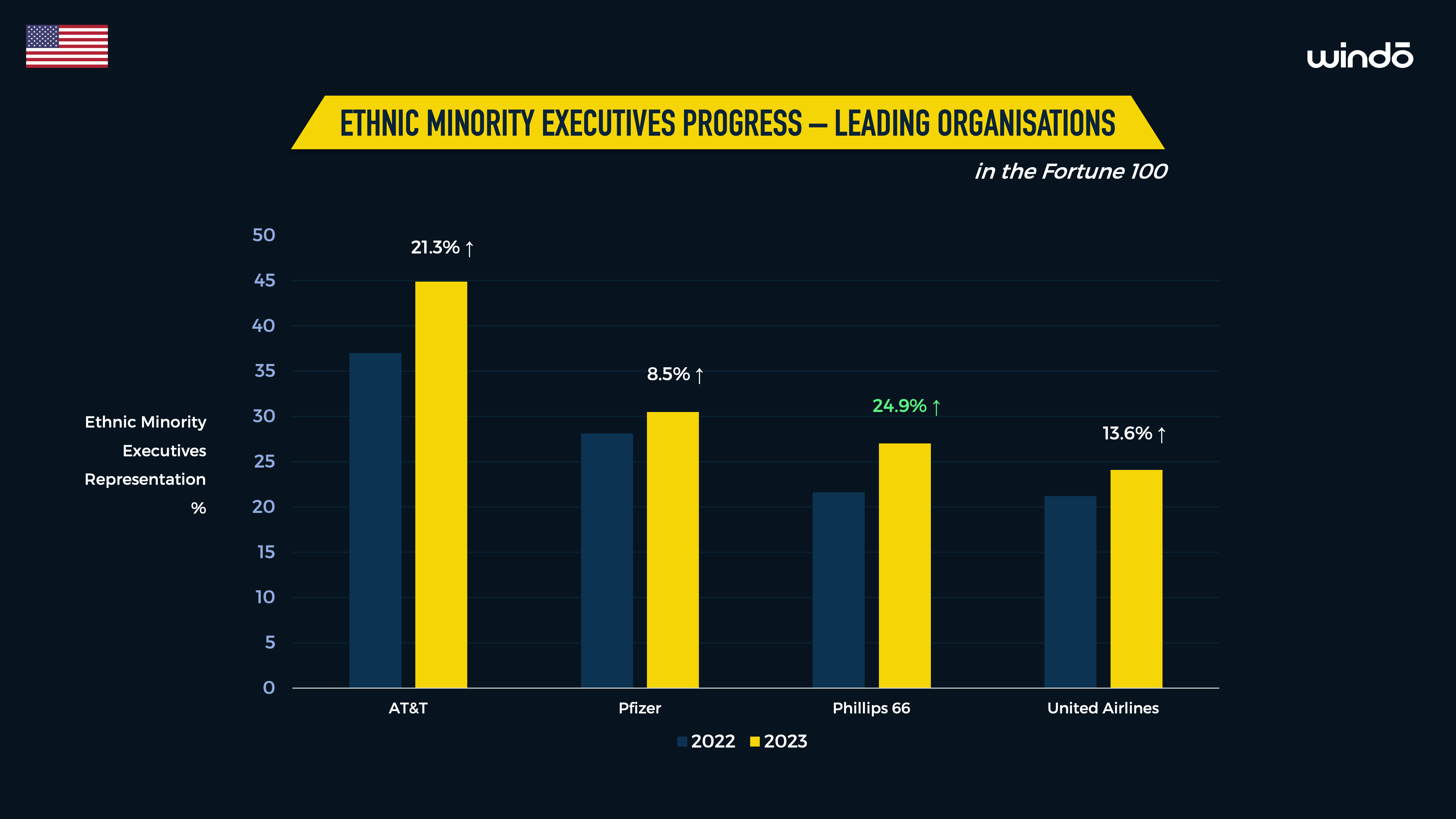 Windo_Fortune_100_2024_Ethnic_Minority_Data_1.png